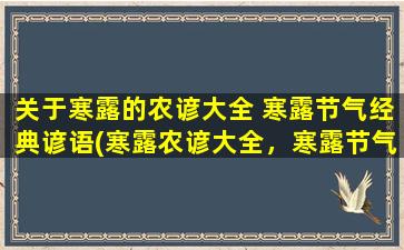 关于寒露的农谚大全 寒露节气经典谚语(寒露农谚大全，寒露节气经典谚语*)